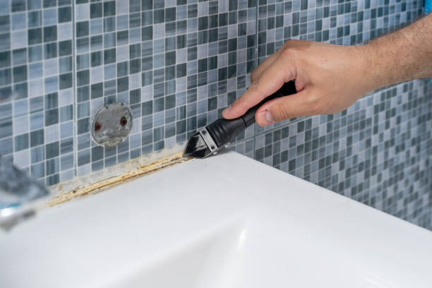 Best White Mold Remediation in Valley Hill, NC